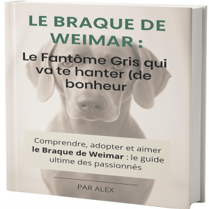Mon guide Braque de Weimar + (9 fiches & outils gratuits)