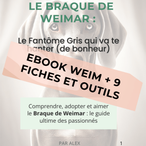 Couverture ebook Weim et fiches outils