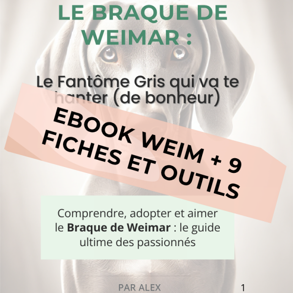 Couverture ebook Weim et fiches outils