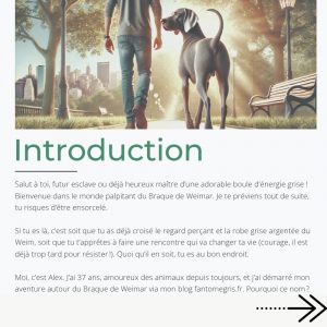 Alternative view of Pack complet Weim – eBook + 9 fiches & outils