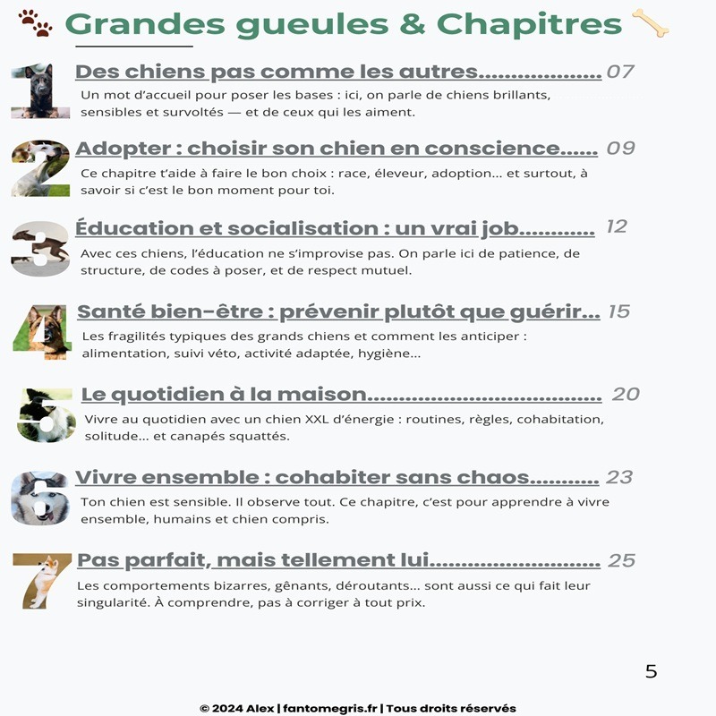 Guide : Vivre avec son grand toutou (+outils gratuits) – Image 3