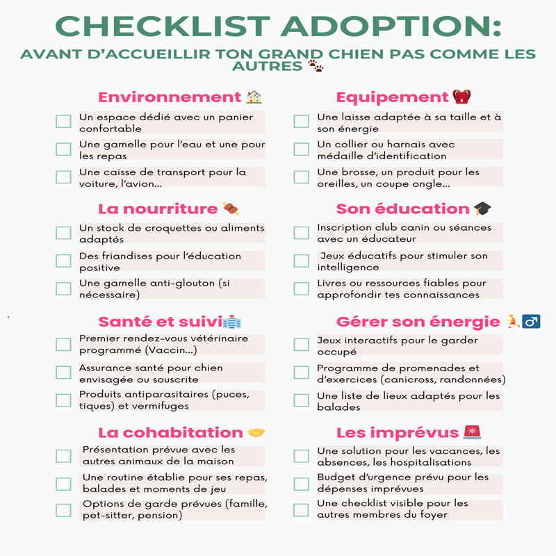 Guide : Vivre avec son grand toutou (+outils gratuits) – Image 5
