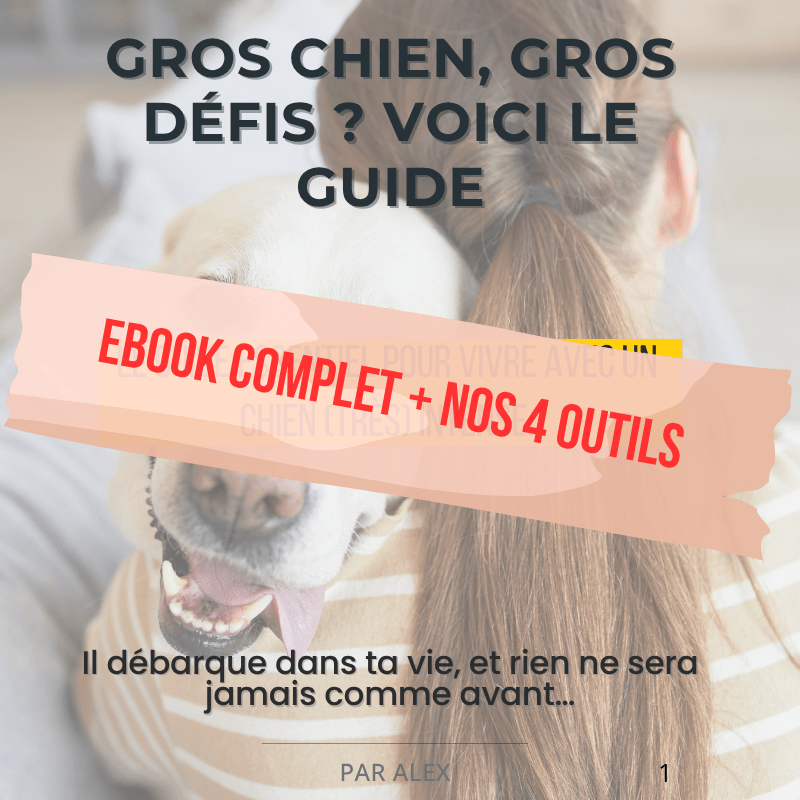 Couverture ebook grands chiens et outils