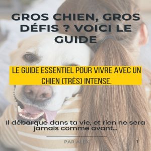Ebook gros chiens