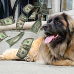 Le prix du chien Leonberg
