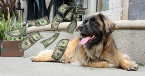 Le prix du chien Leonberg