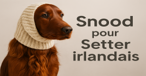 Snood Setter Irlandais