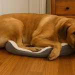 Panier chien xxl