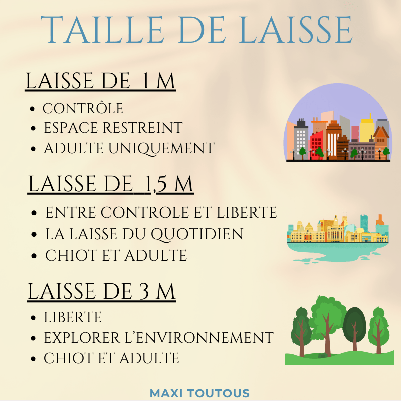 Taille laisse grands chiens